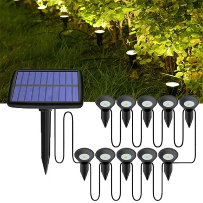 Outdoor Solar Pathway Spotlights — IP65 Waterproof Garden Lights