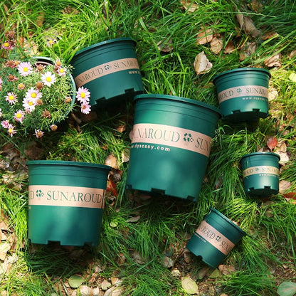 Decorative Succulent Plant Pots — Plastic Bonsai Nursery Pots